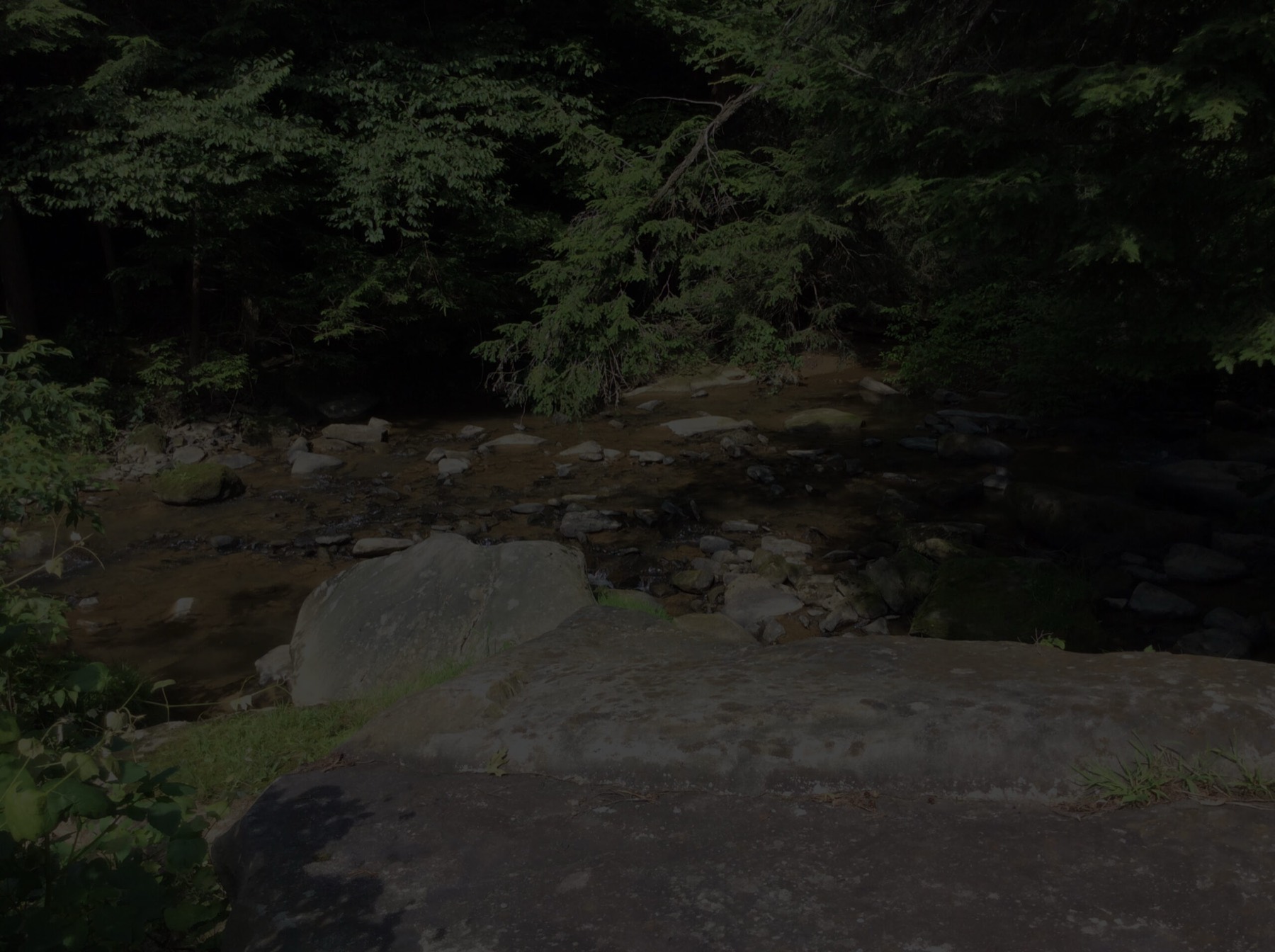 A quiet stream running through the wooded 28-acre property
